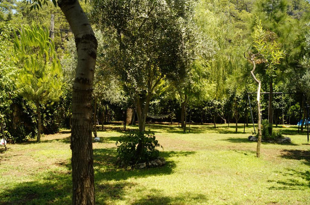 Hotel Dalos Göcek Εξωτερικό φωτογραφία