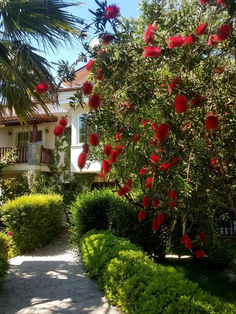 Hotel Dalos Göcek Εξωτερικό φωτογραφία